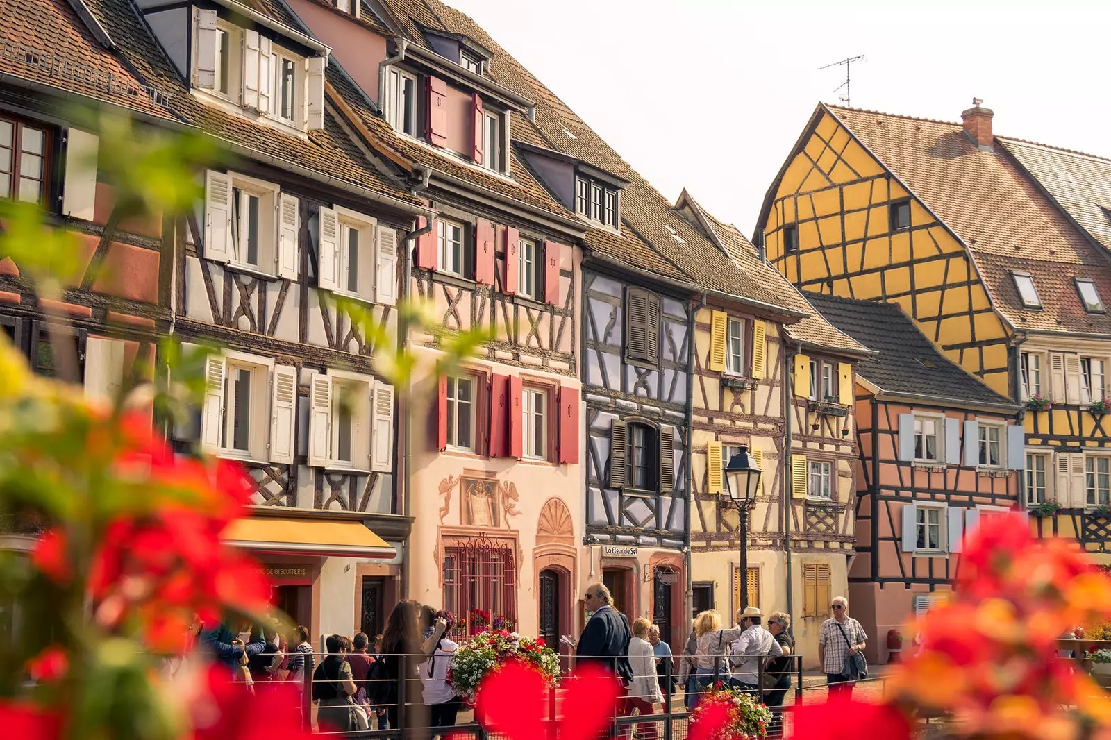 Arkitektura e Colmar pi nga ndikimet gjermane dhe franceze