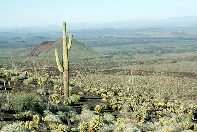 Miền bắc khô cằn của Mexico