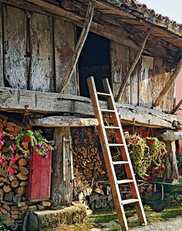 Žitnica palače Rubianes