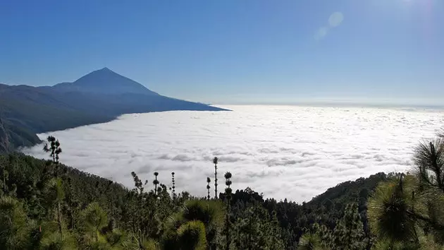 Teide zee van wolken