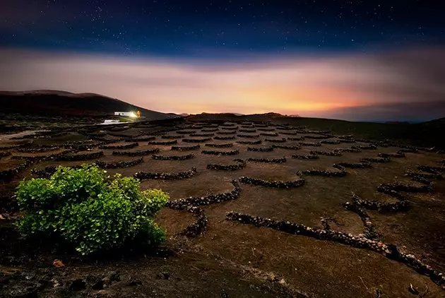 Hrein Lanzarote SÝNING