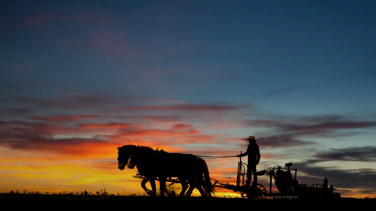 Người Amish sống ở đây. Không có Instagram, không có Internet, không có xe hơi. Chỉ là lĩnh vực!