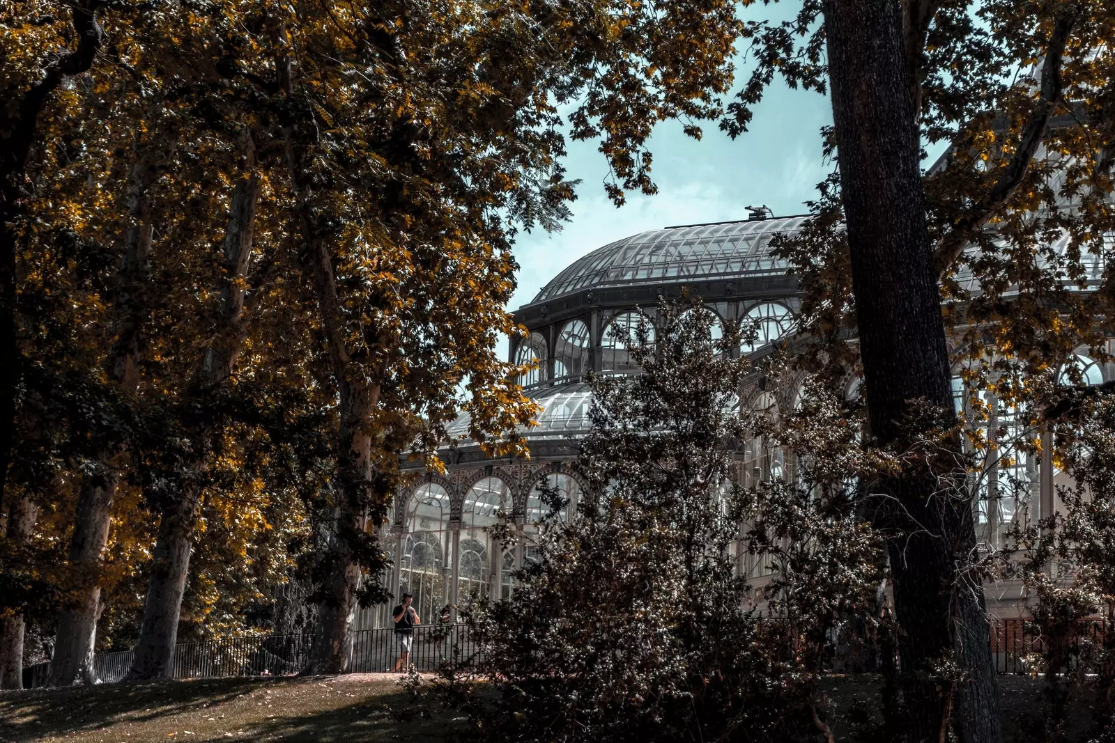 The Crystal Palace of the Retreat MAZO MELANCOLÍA