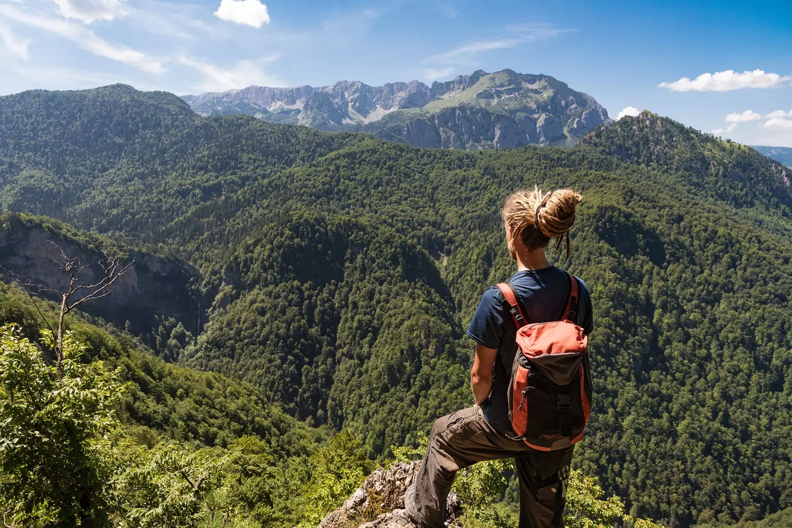 Vista da floresta primária de Perucica