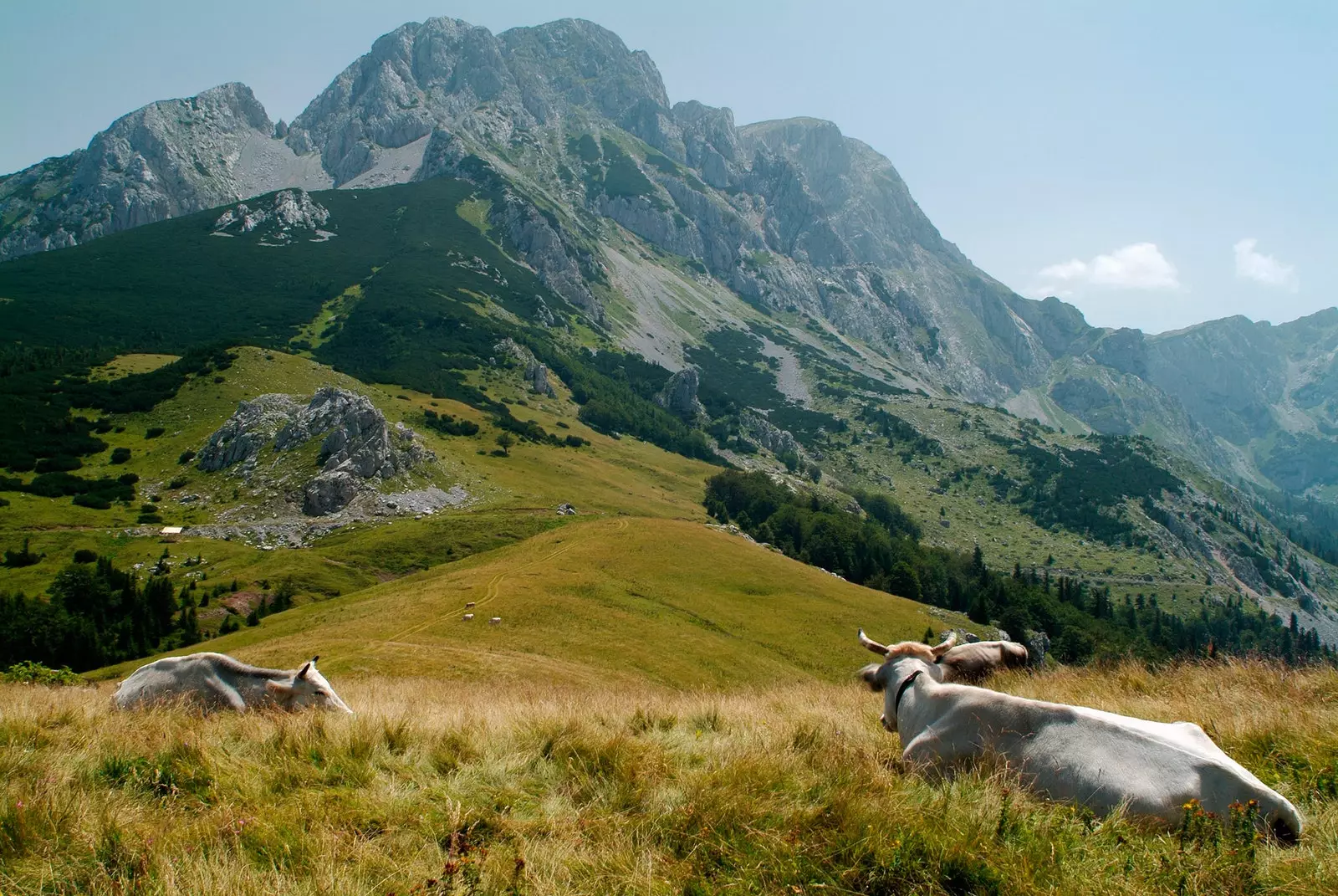 Maglić gunung tertinggi di Bosnia