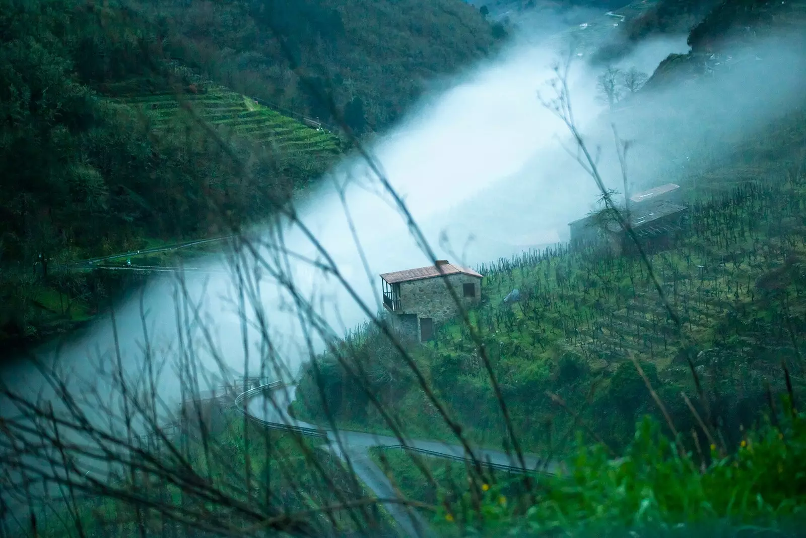 Vista da Ribeira Sacra no inverno