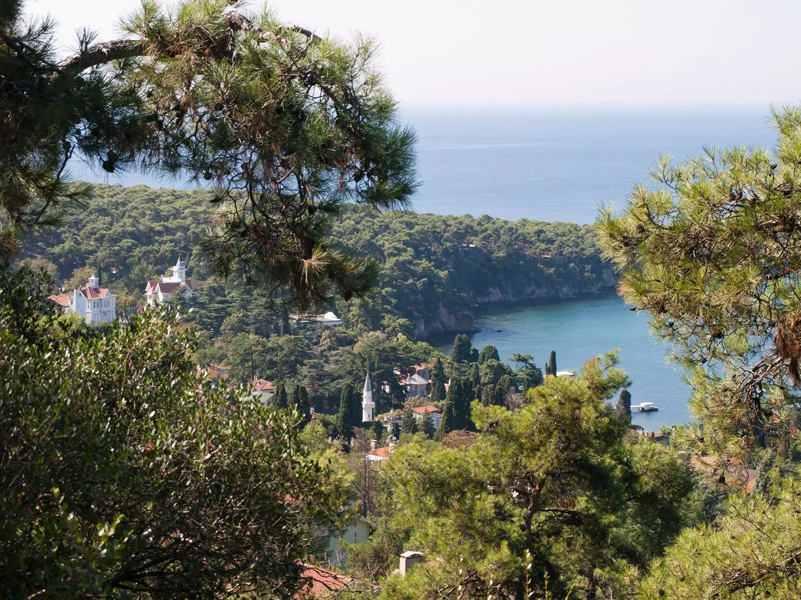 La vista des dels turons de Buyukada