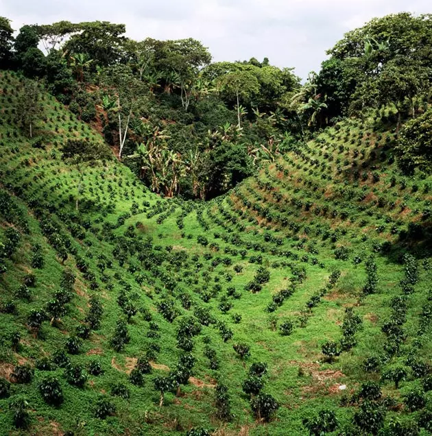 Quindio Kolumbia