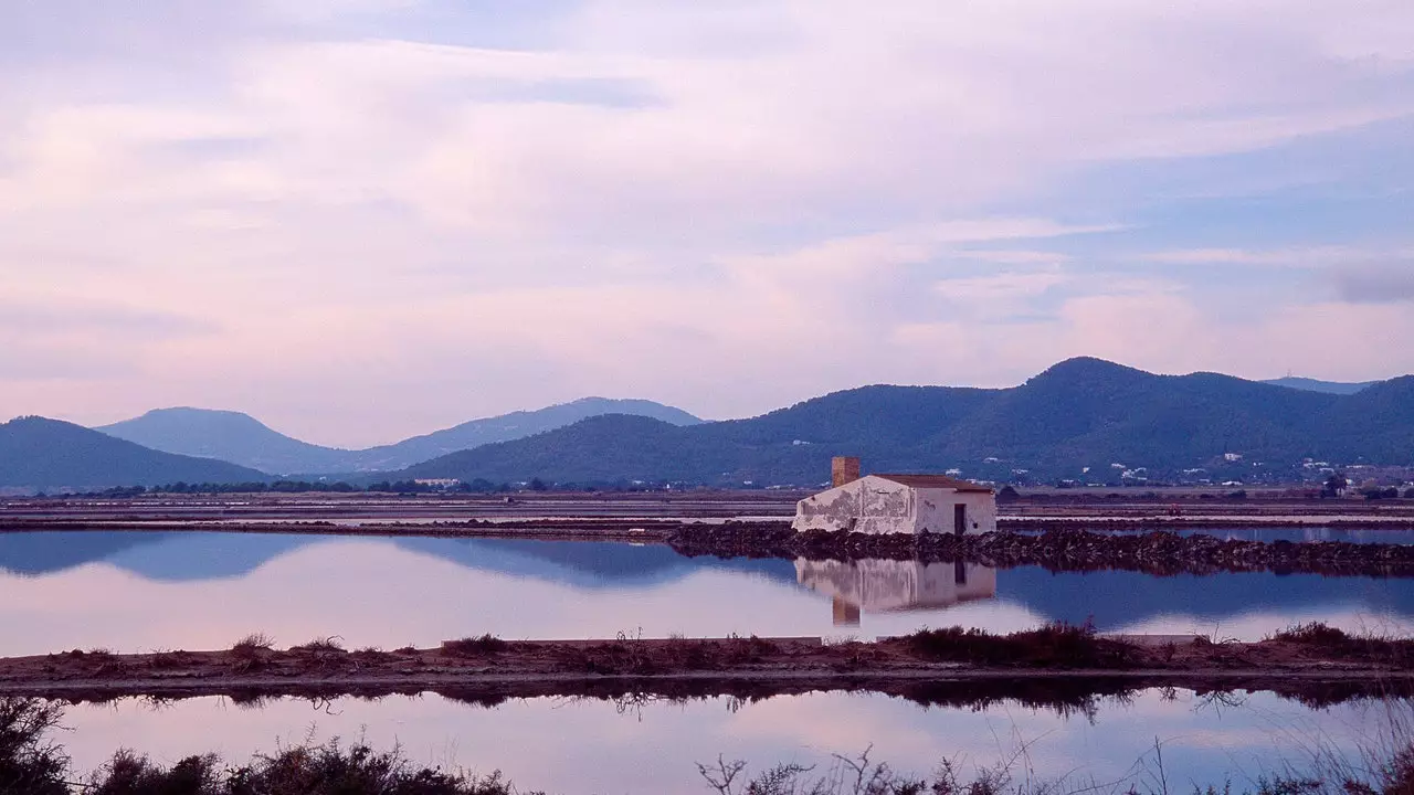 Vodič za korištenje i uživanje u prirodnom parku Ses Salines (sa Ibize)