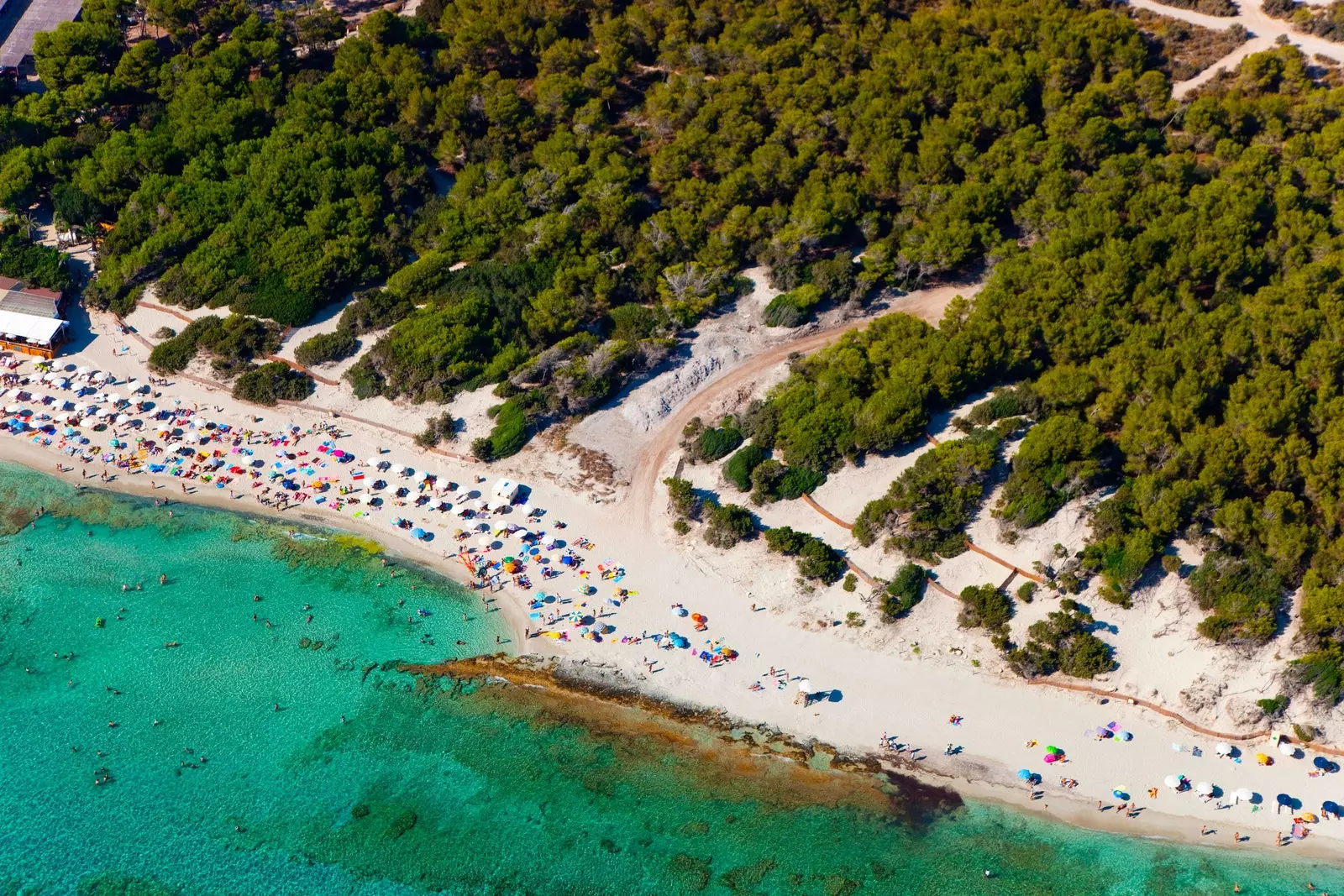 Plage de Ses Salines Ibiza