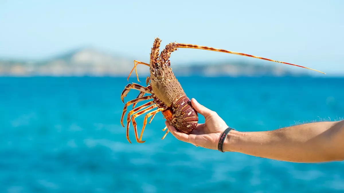 De fem bedste hummergryderetter på De Baleariske Øer