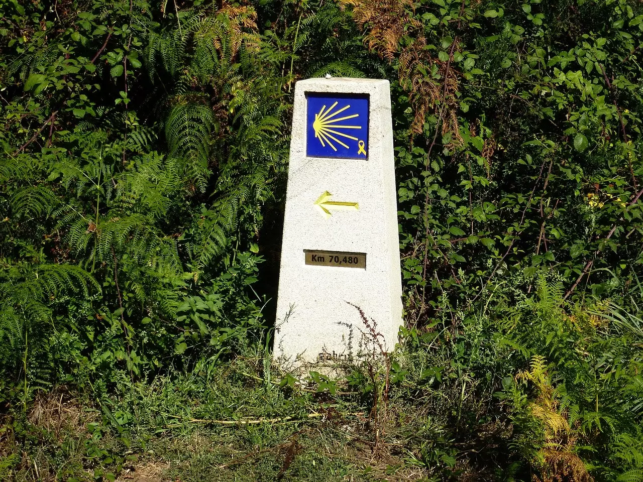 Camí de Sant Jaume