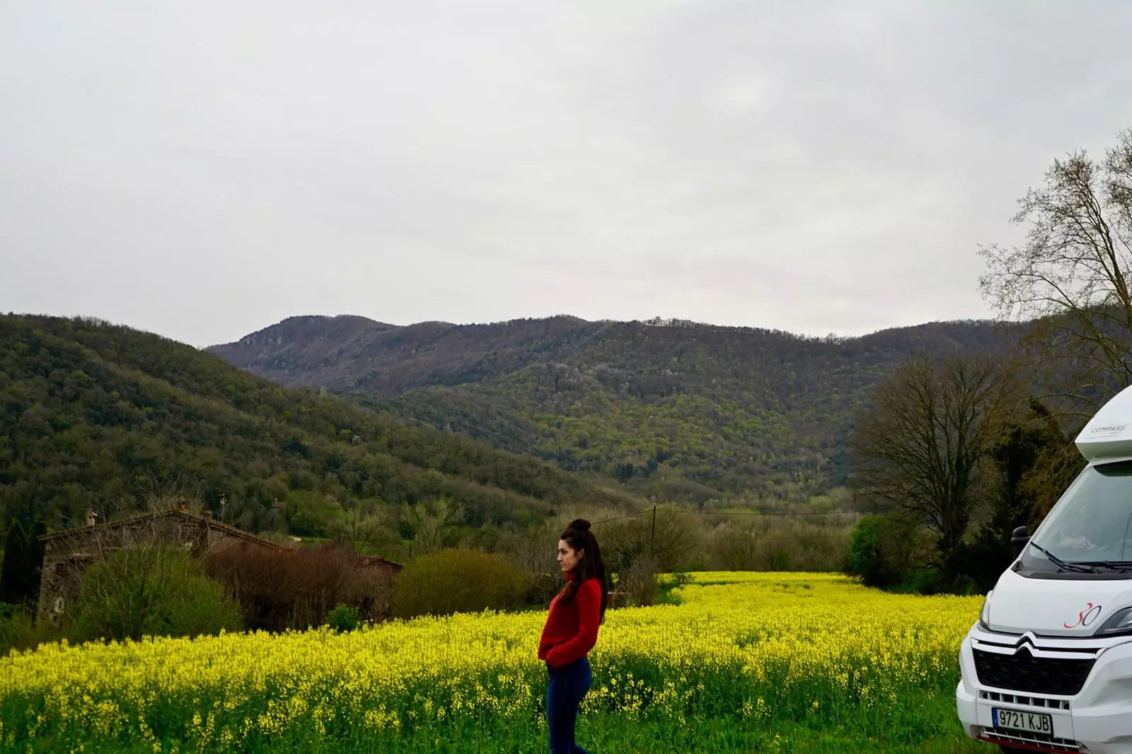 Ladang rapeseed di Santa Pau