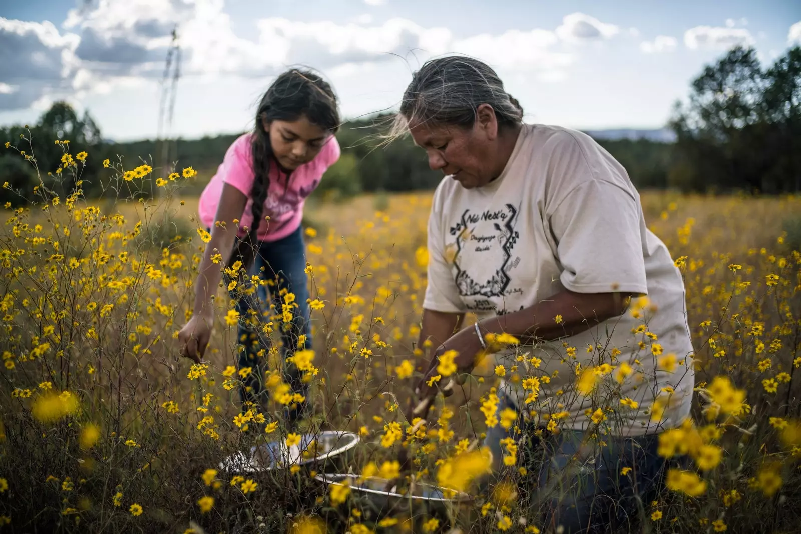 Per què Gather ja és el millor documental de l'any als Estats Units