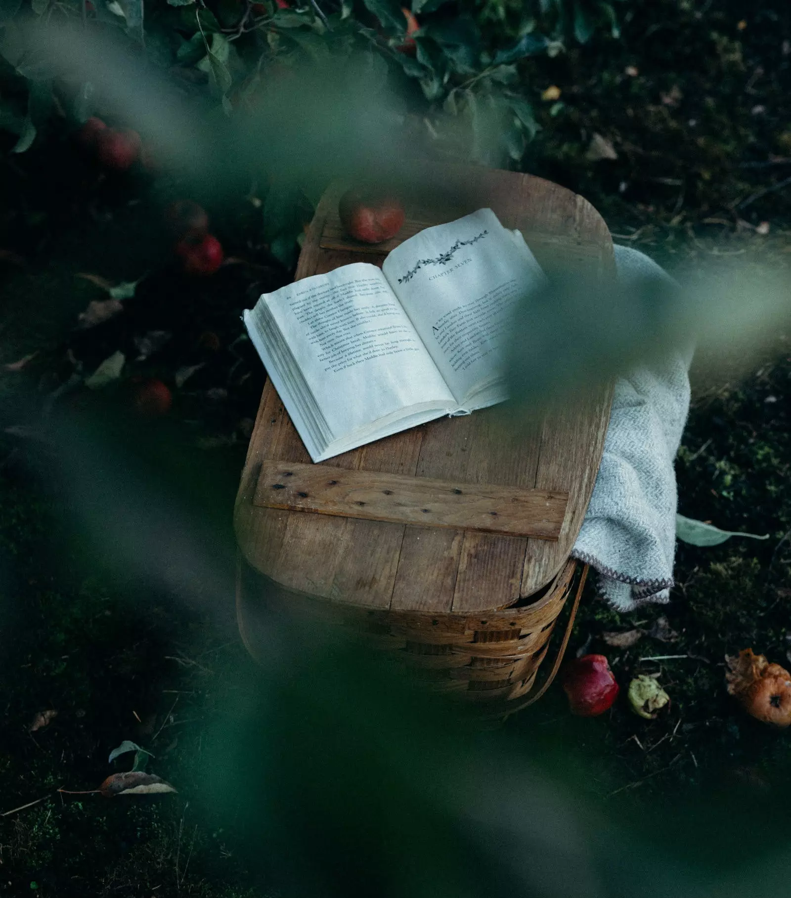 cobertor de estrada e livros