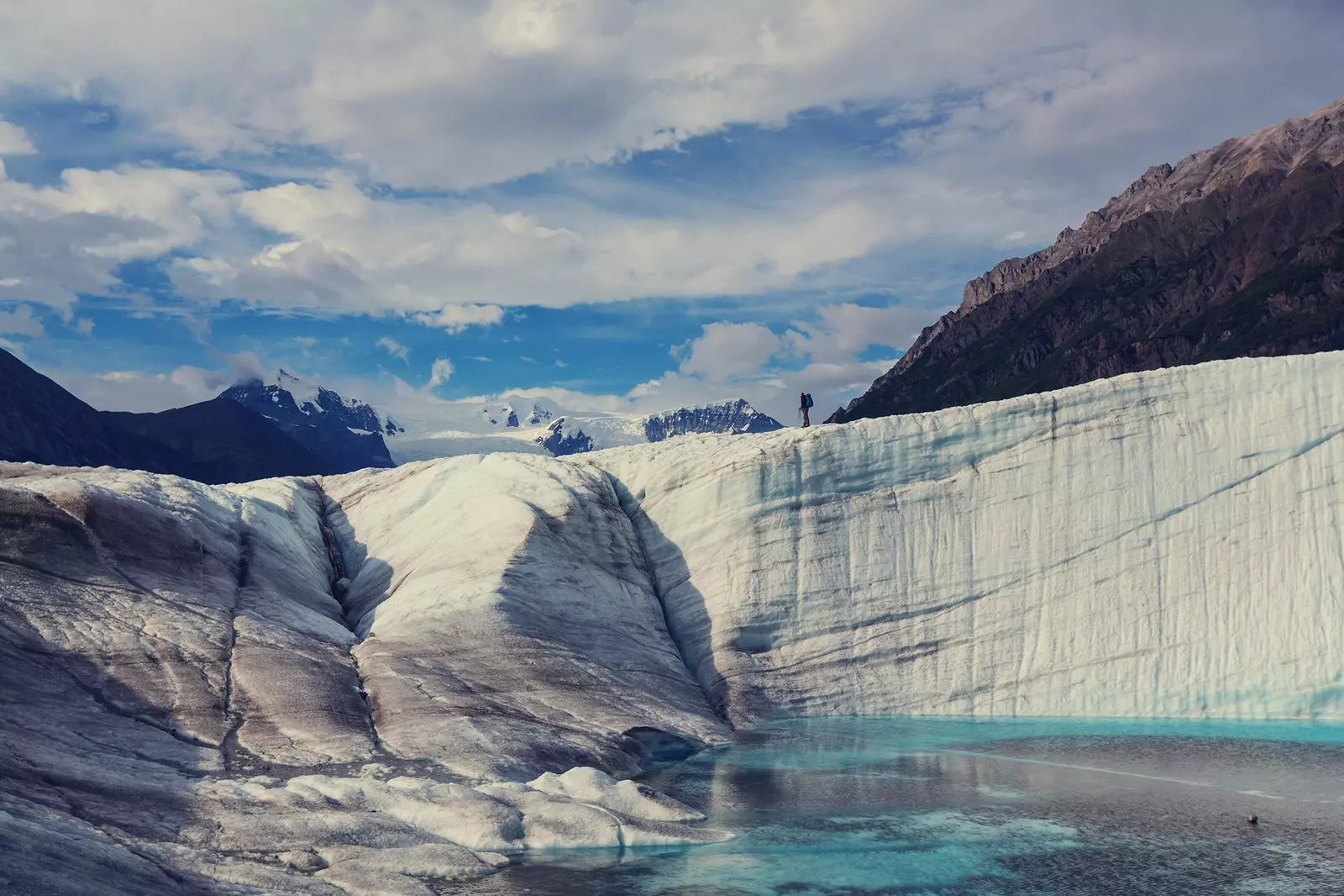 Alaska'daki vahşi Kenai Fiyortları buz yarımadasına yolculuk