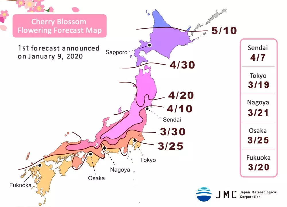 Térkép a 2020-as becsült virágzási dátumokkal