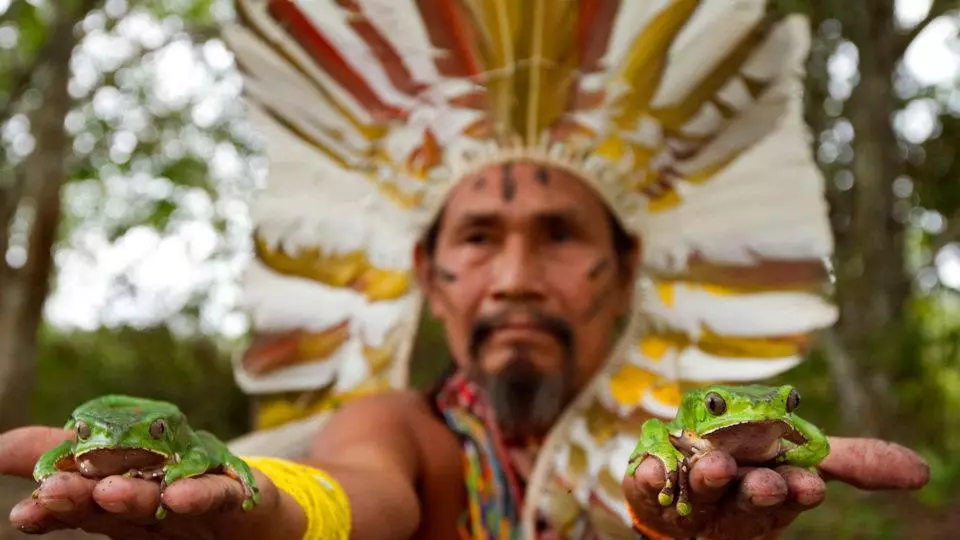 'Filhos da Terra', documentário sobre medicina natural, indicado ao Goya