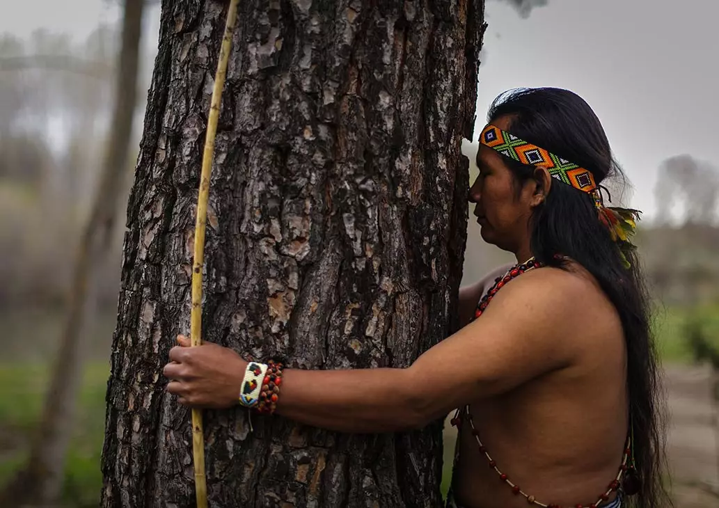 Kumpulan etnik Shuar adalah orang Amazon yang paling ramai dan mereka tinggal di antara hutan Ecuador dan Peru.