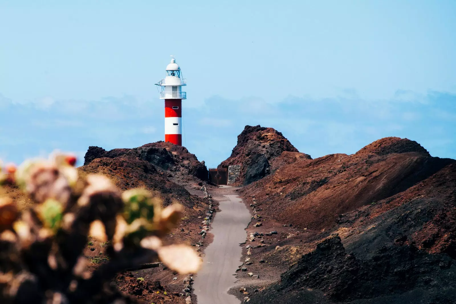 Punta de Teno