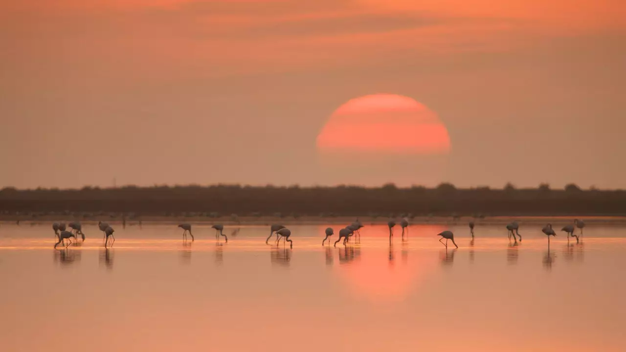 Sant Carles de la Ràpita, sjór og líf í hjarta Ebro Delta