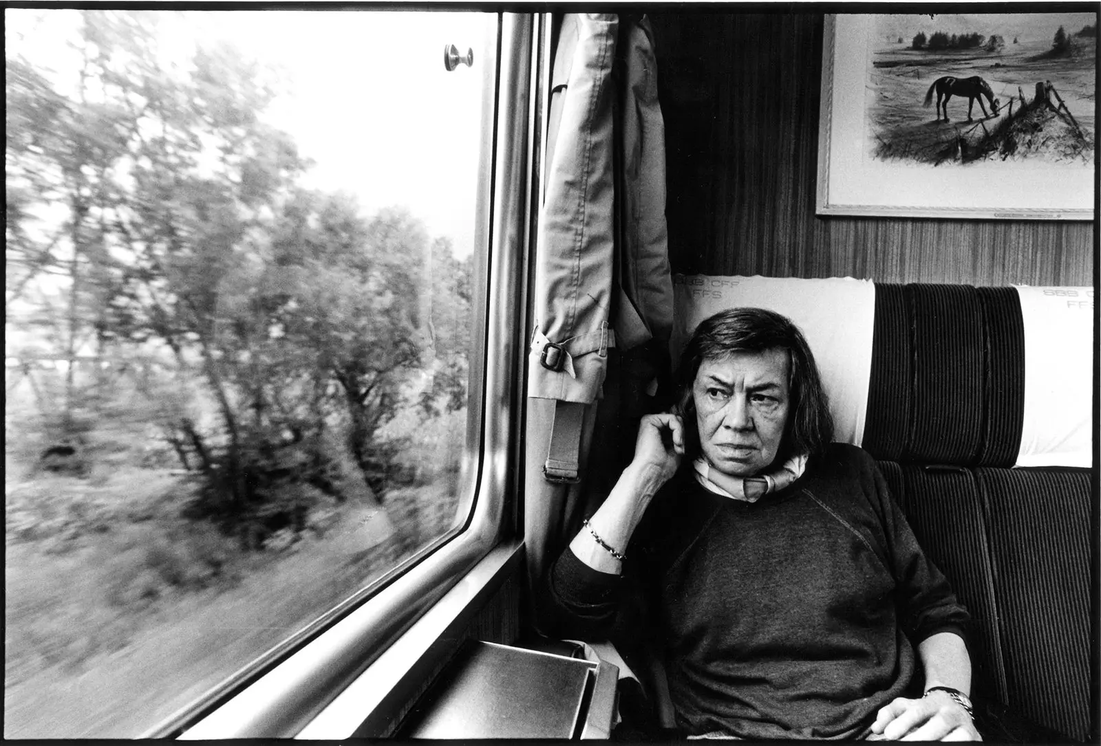 Hundertjähriges Bestehen von Patricia Highsmith