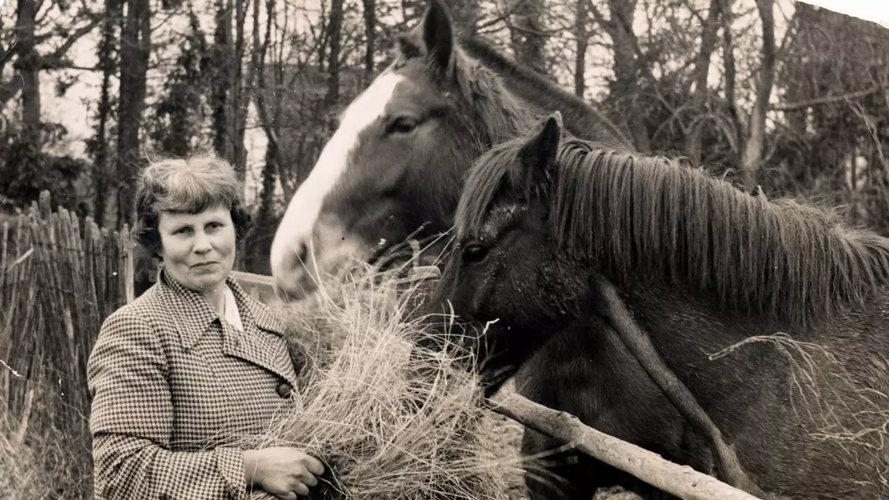 Het vreemde stel: het verhaal van een dame en een merrie in Andalusië in de jaren 60