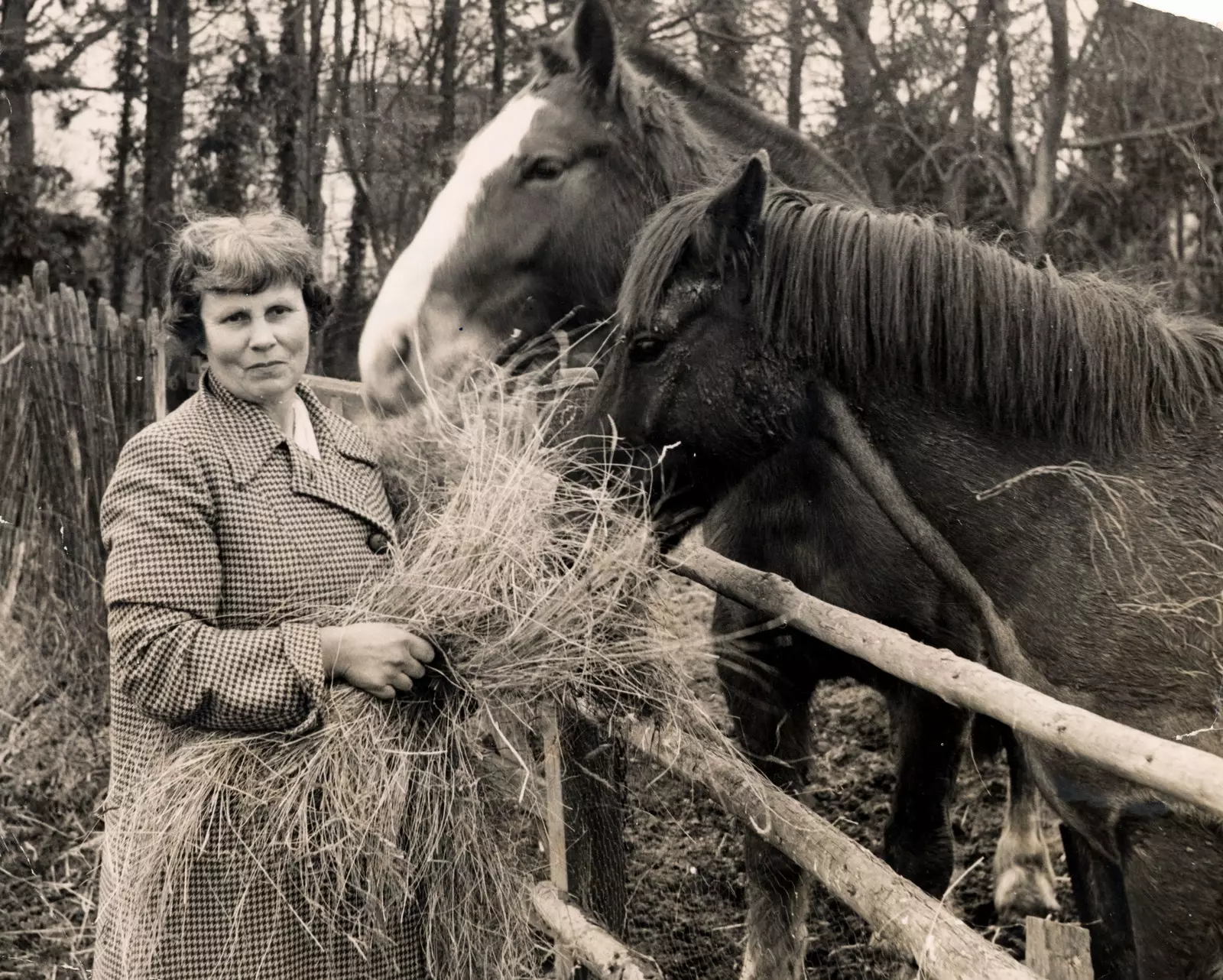 Penlope Četvuda