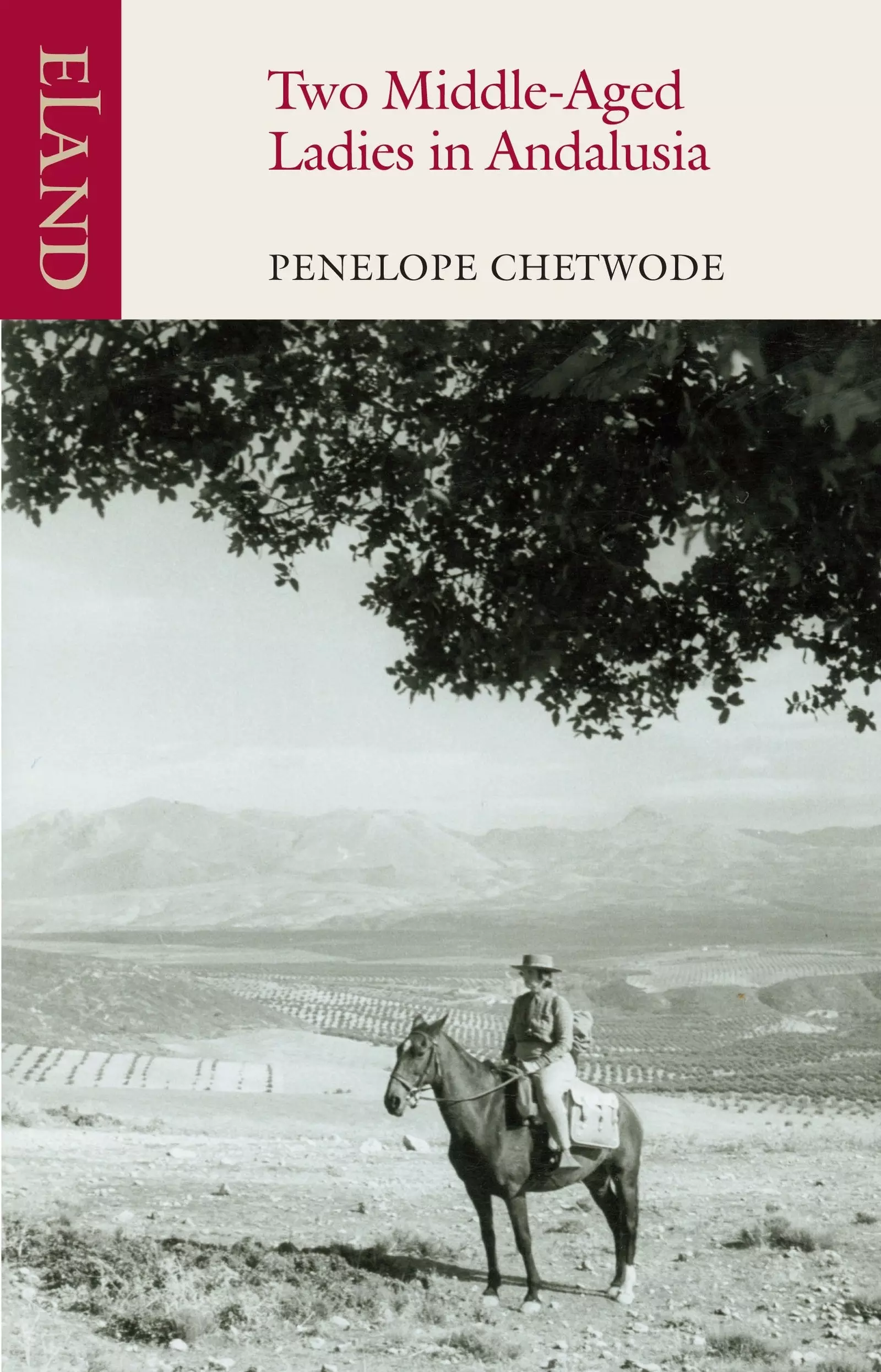 Çifti i çuditshëm: historia e një zonje dhe një pelë në Andaluzi në vitet 1960 15355_4