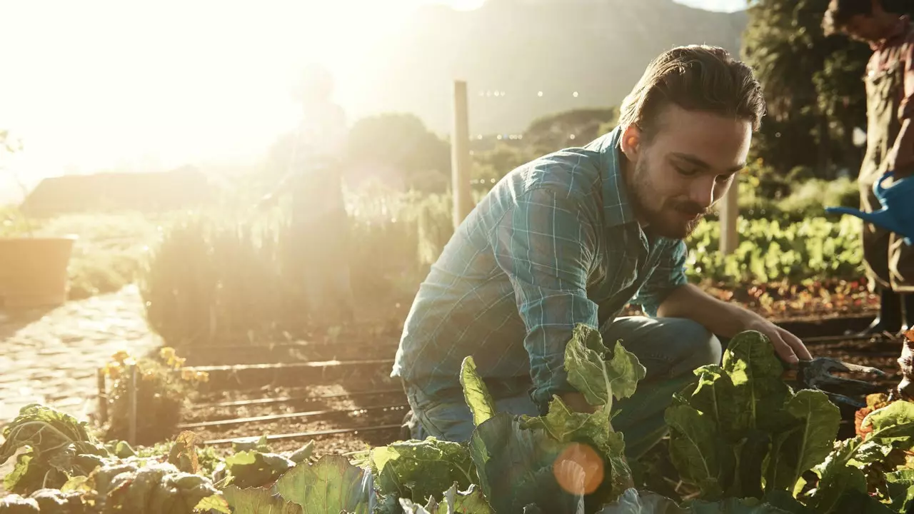 The next Ferran Adrià will not be a cook, he will be a farmer