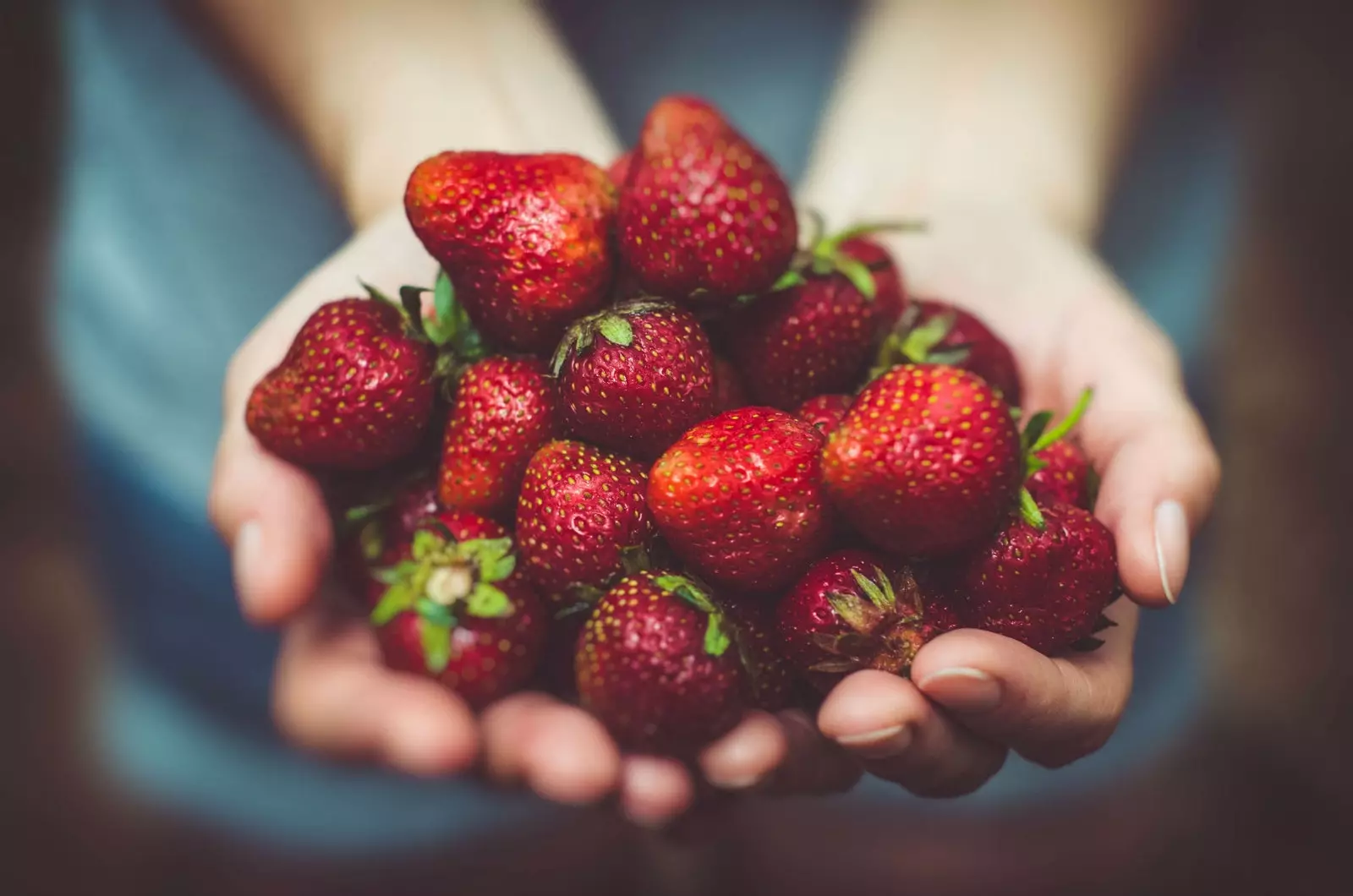 vers geplukte aardbeien