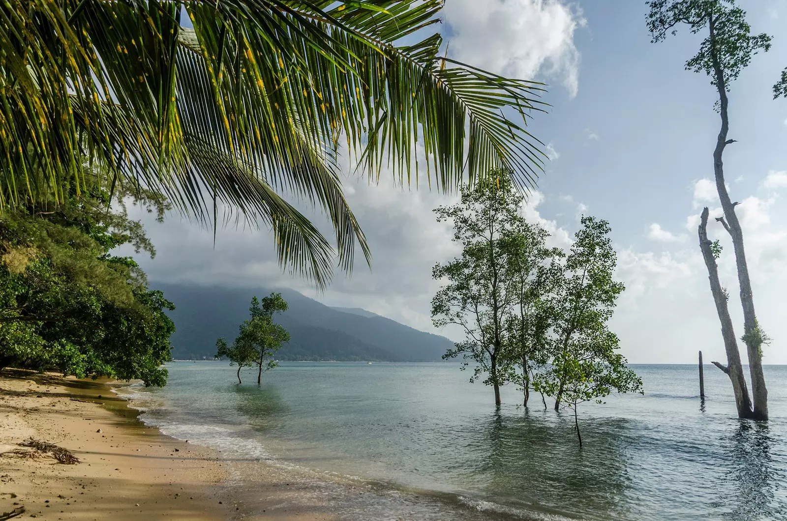 Plaża na wyspie Tioman