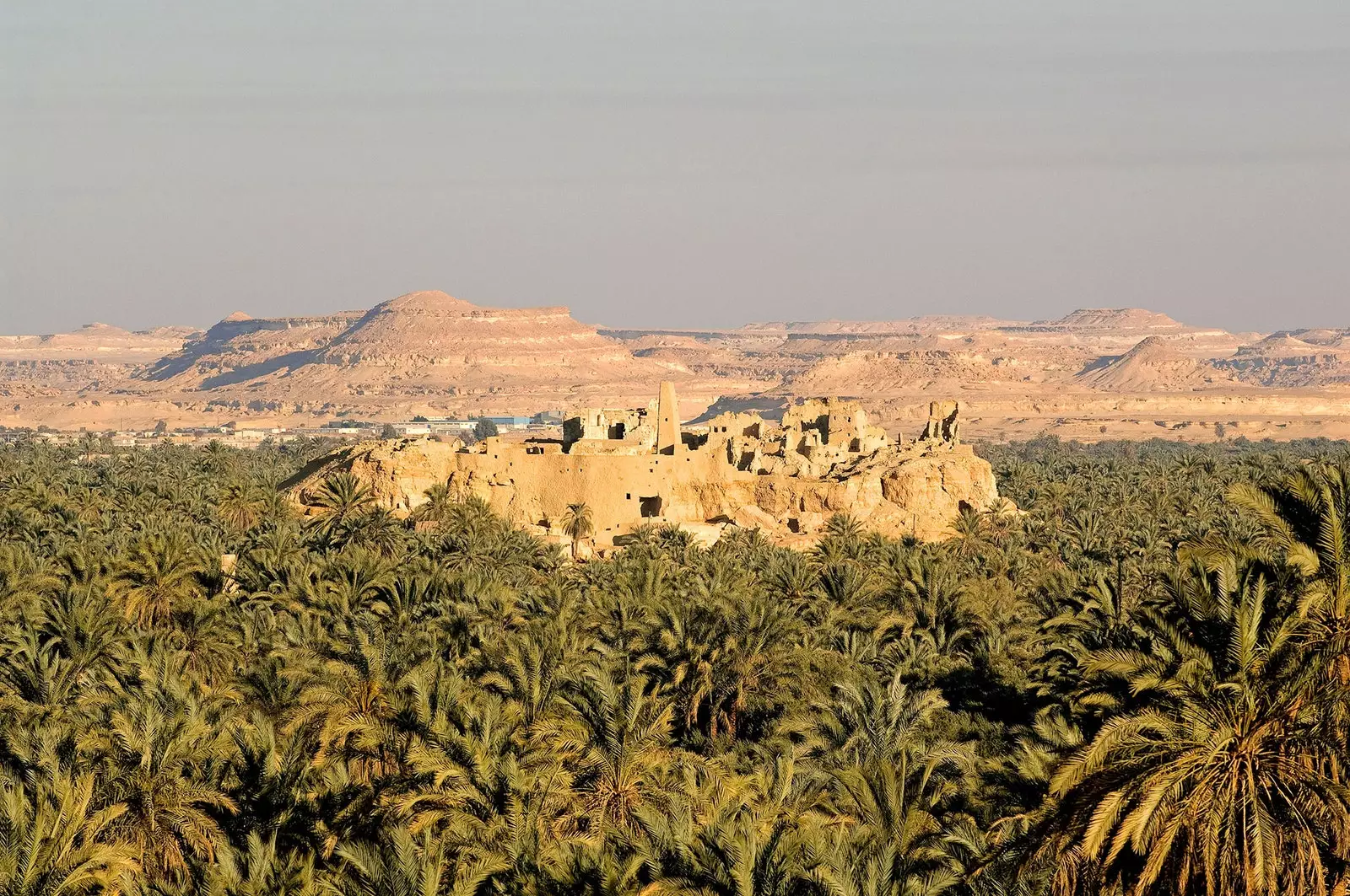 Siwa hin gleymda egypska vin við hlið Líbíu