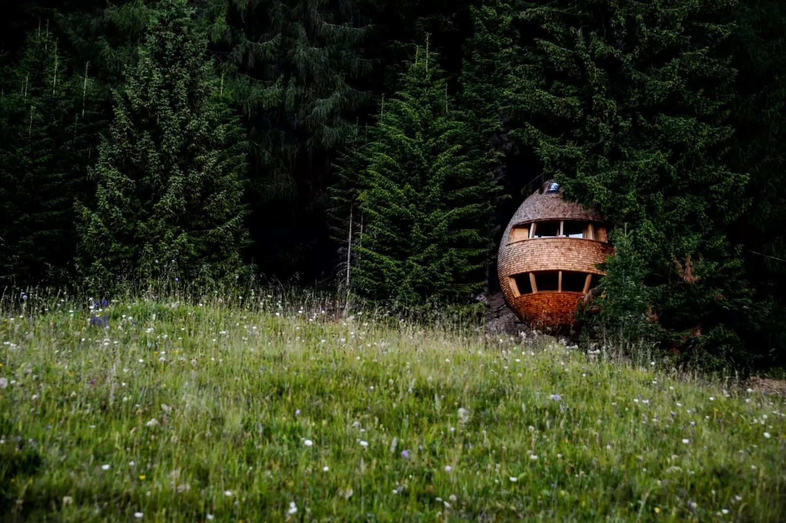 Cabane dans les arbres en Frioul