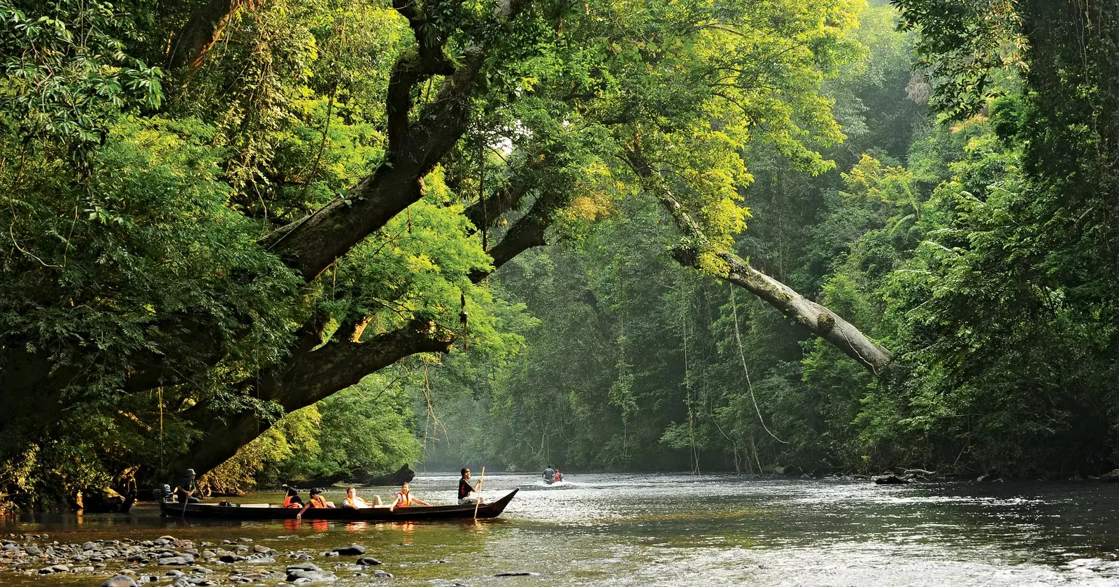 Râul Lata Berkoh în Taman Negara