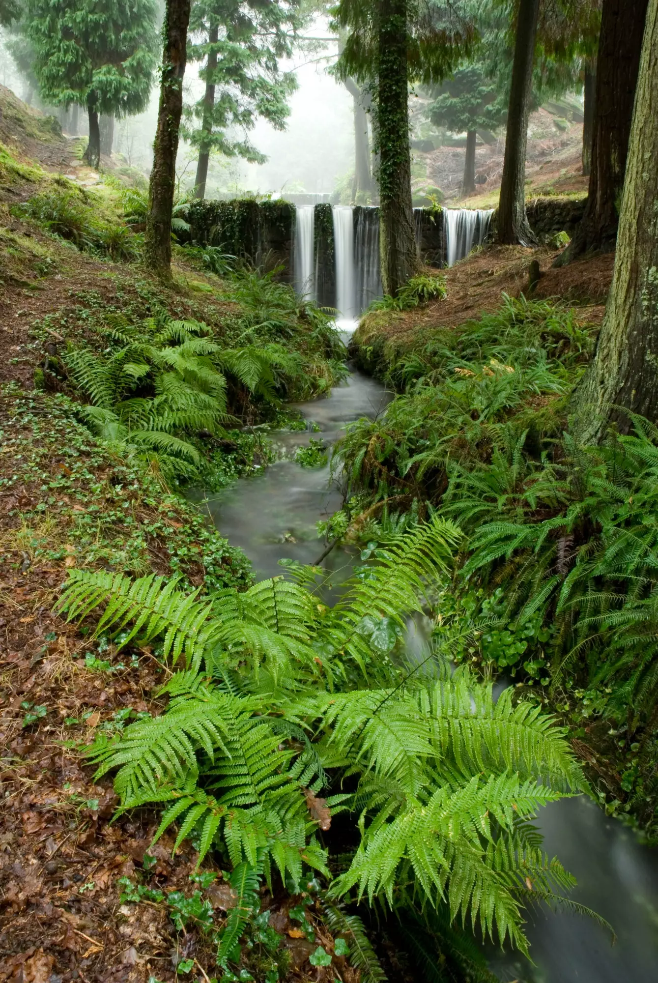 Mount Aloia muteert en verandert van kleur in elk seizoen van het jaar.