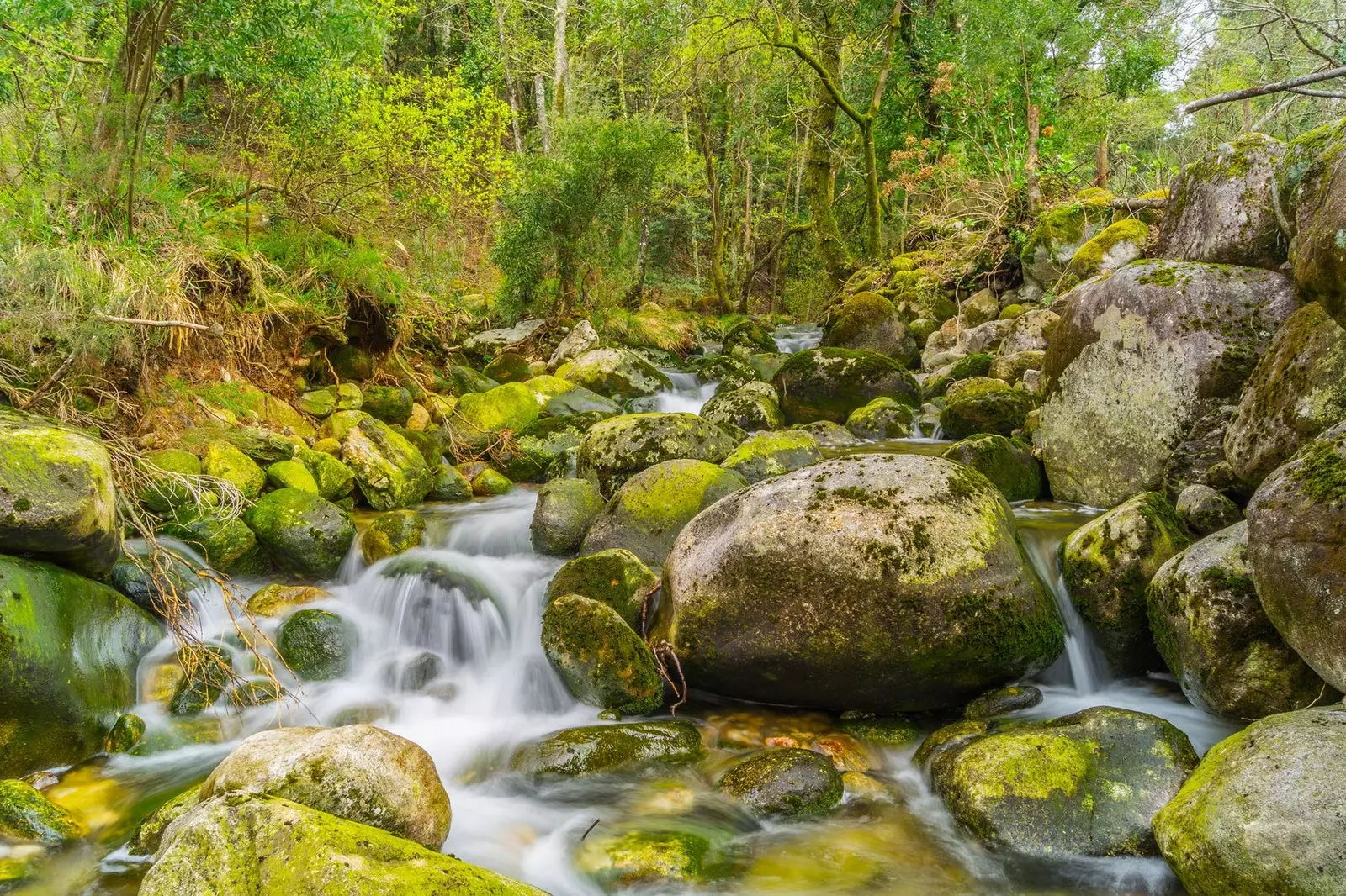 Deu grans rutes gallegues que no són el Camí de Sant Jaume