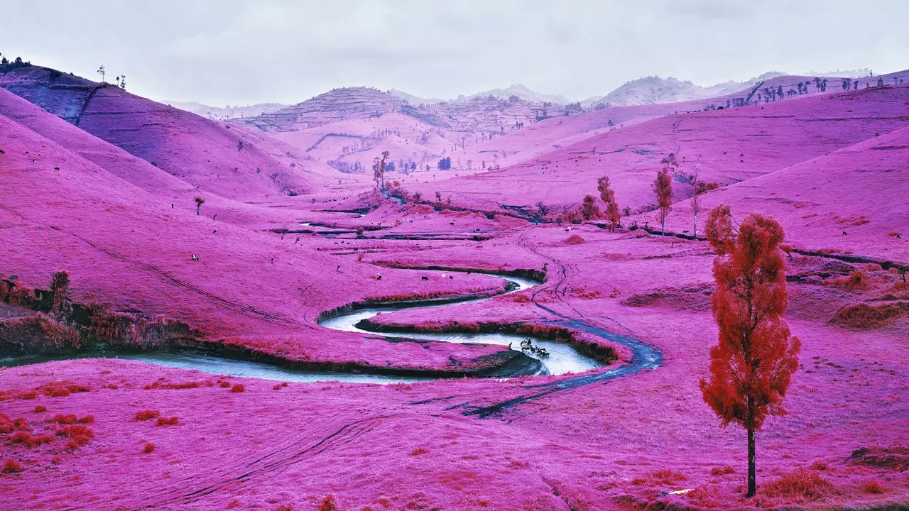 Richard Mosse ob'ektivi orqali iqlim o'zgarishi