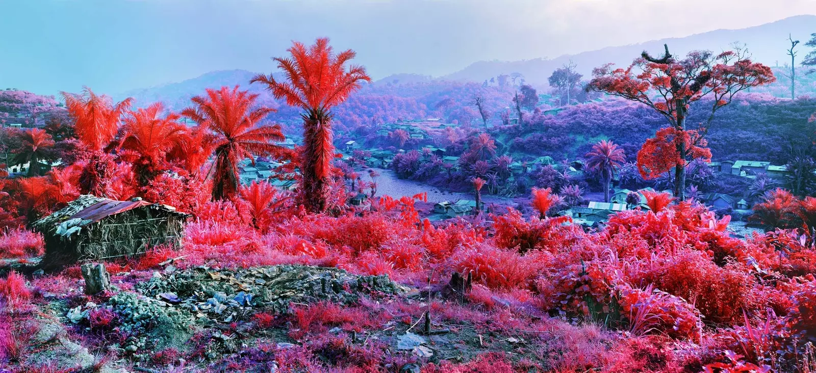 Het werk van Richard Mosse in de Democratische Republiek Congo