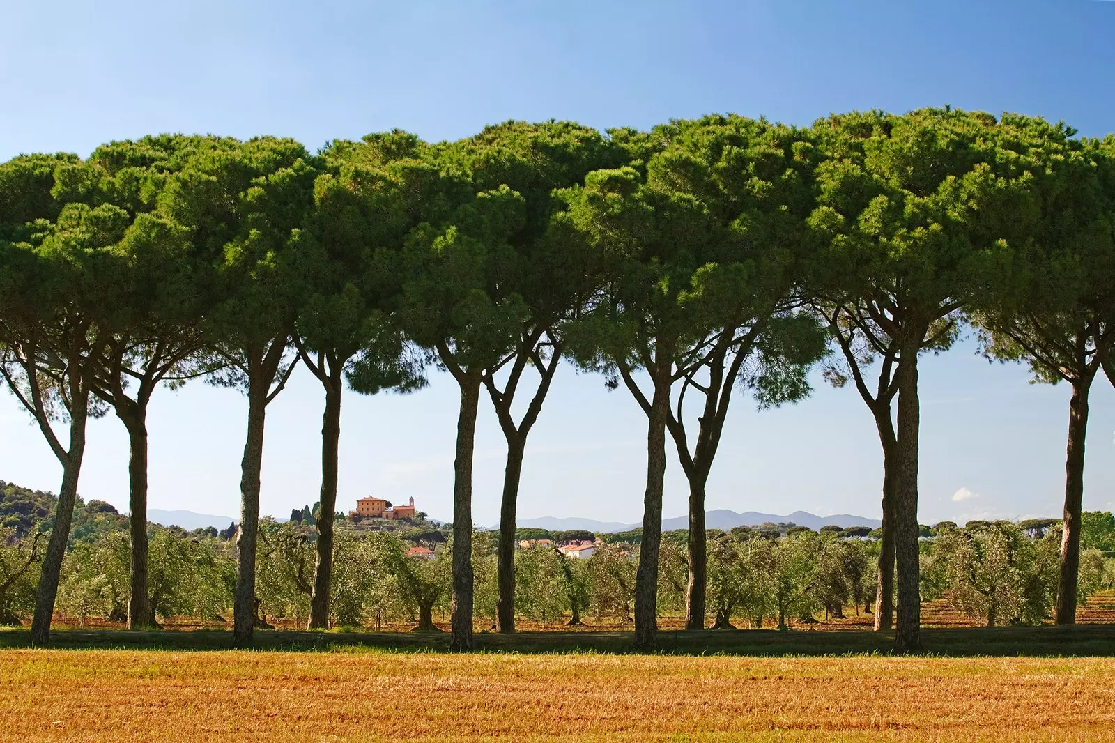 Kami bermula di Tuscan Maremma