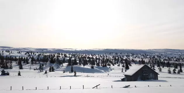 Questa fortunata steppa norvegese è il posto migliore per sciare