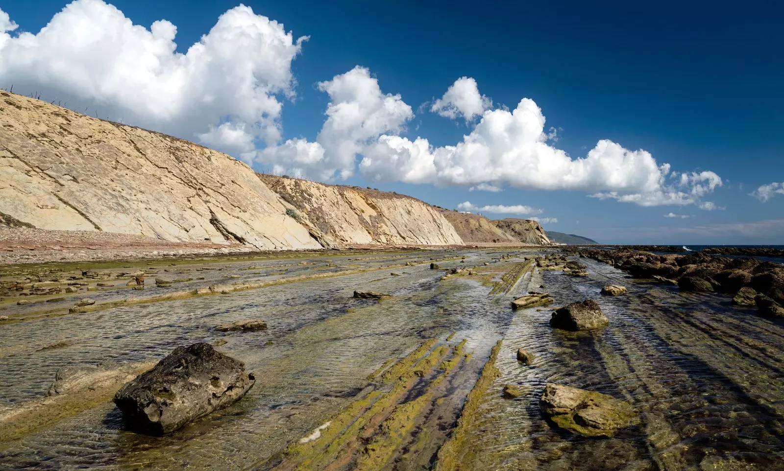 Flysch salmen luonnonpuistossa.