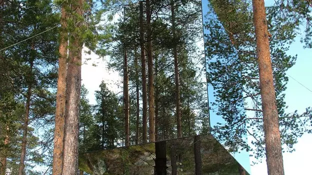 cabane dans les arbres à vendre