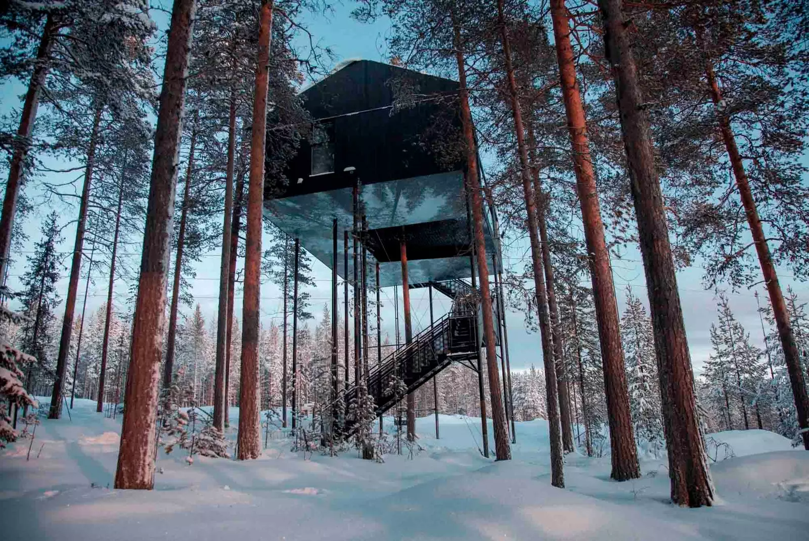 7th Room by Snøhetta treehouse in tree hotel Rootsis