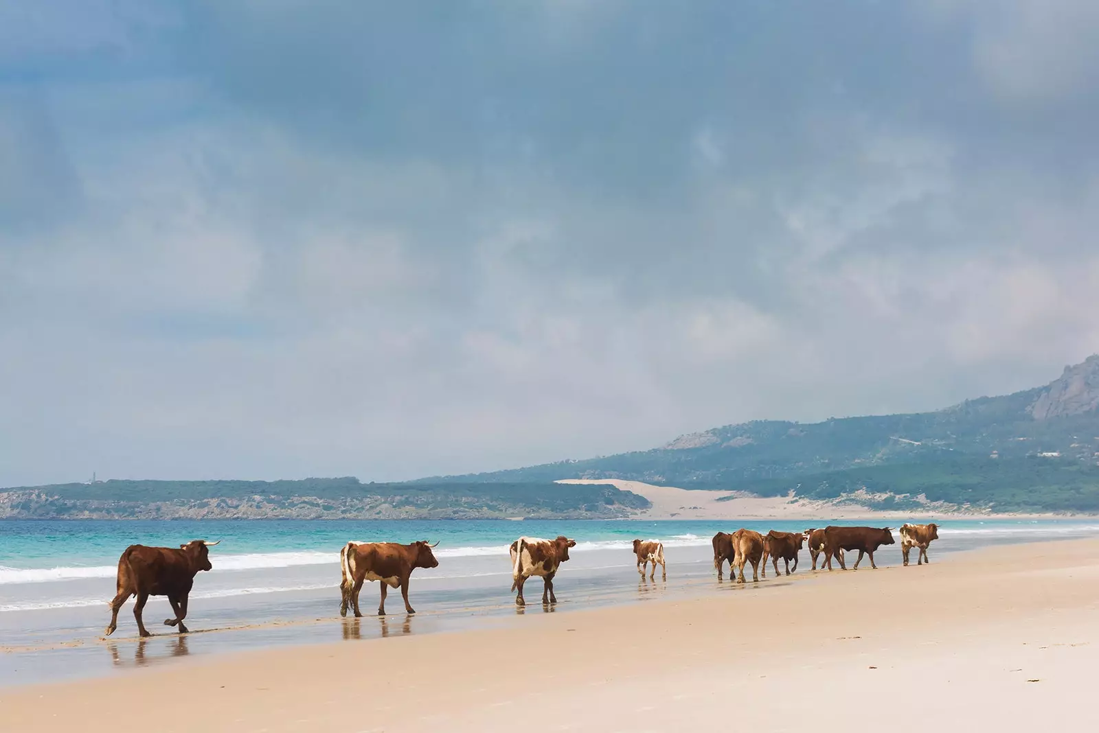 Guida per utilizzare e godersi la spiaggia di Bolonia