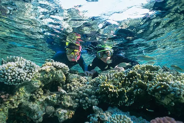 De rode koraalriffen van Sharm elSheikh