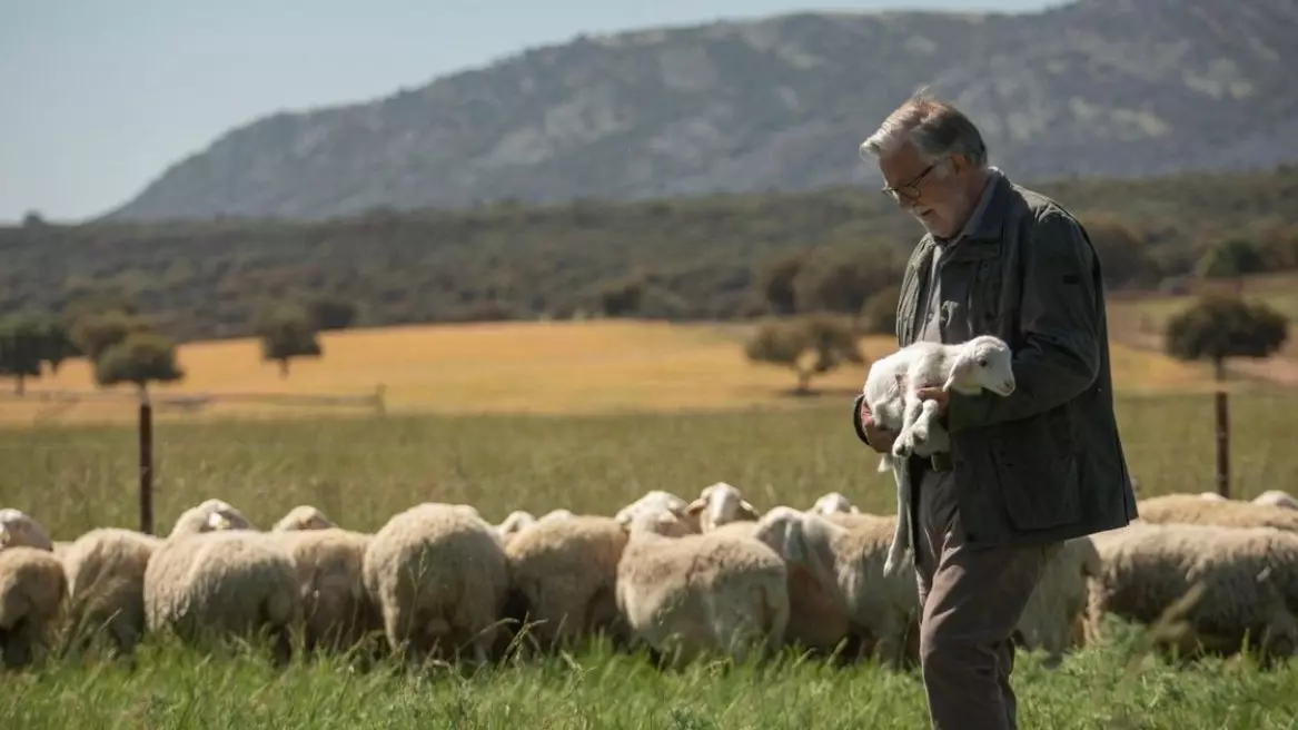 Singura fabrică de brânzeturi spaniolă cu certificare pentru bunăstarea animalelor se află în La Mancha