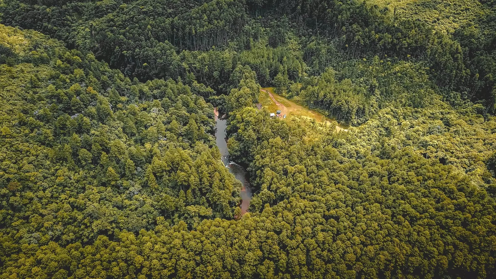 Brazil the country that lost the most forest mass in 2019.