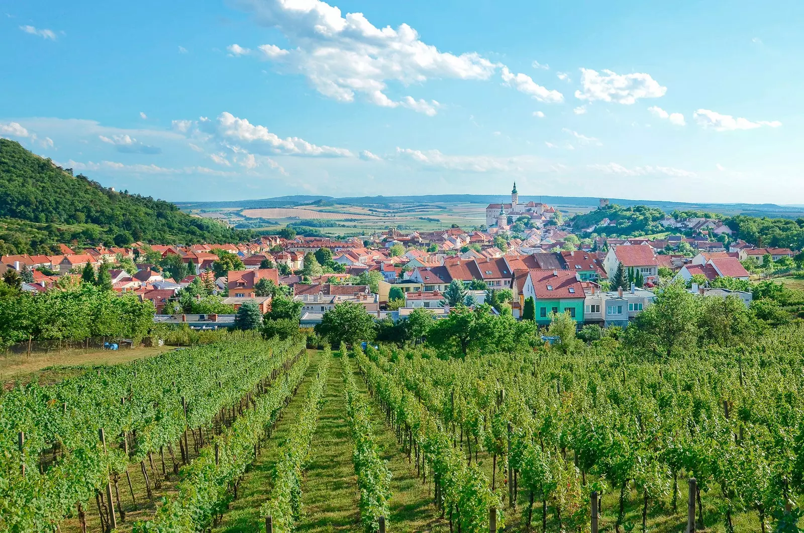 Weinberge außerhalb von Mikulov in der Tschechischen Republik