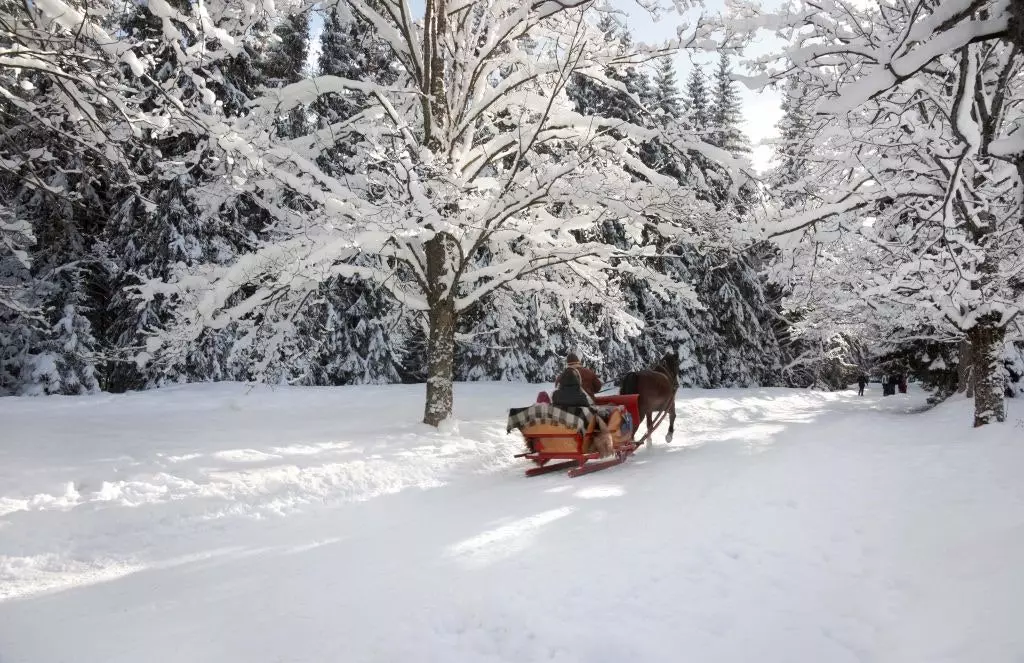 Sníh v parcích Varšava Polsko.